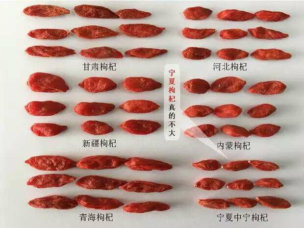 誉芳 袋装宁夏枸杞